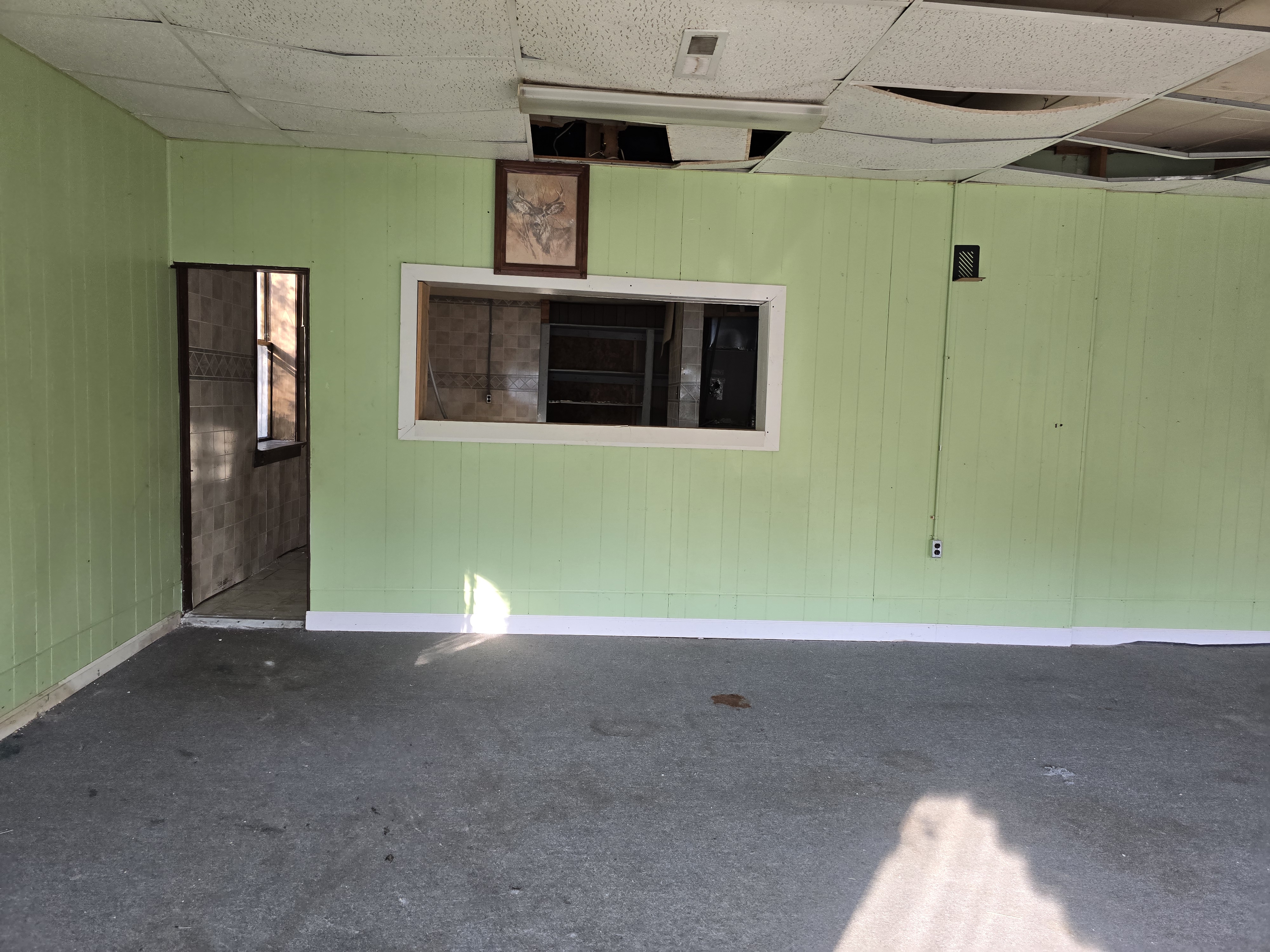 313 Station St. Leadwood MO 63653