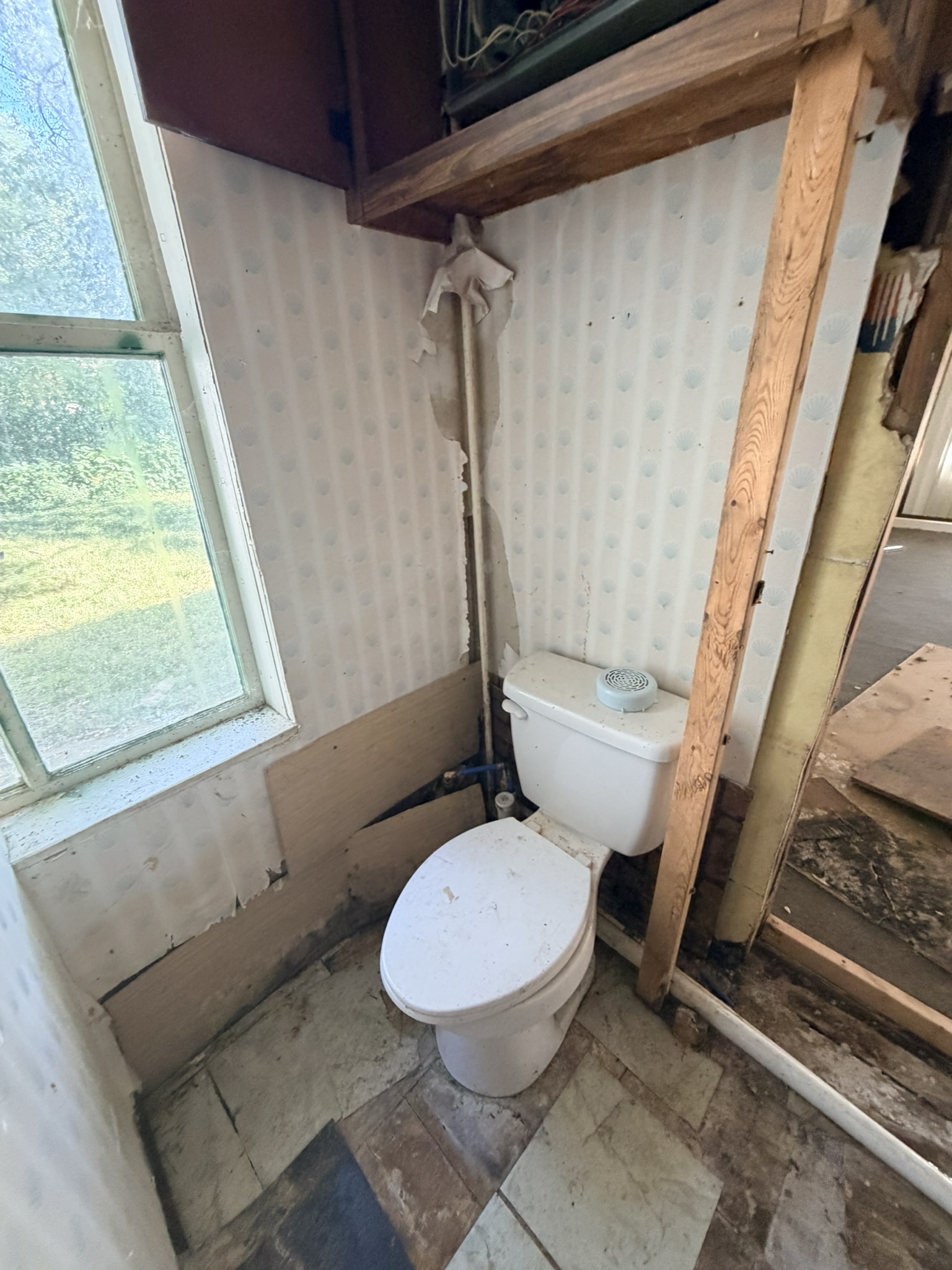 313 Station St. Leadwood MO 63653