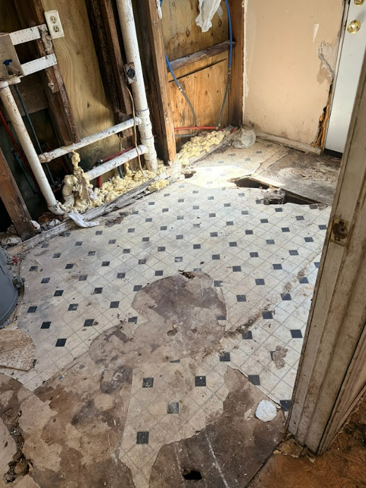 515 McBride Cir S Axis AL 36505