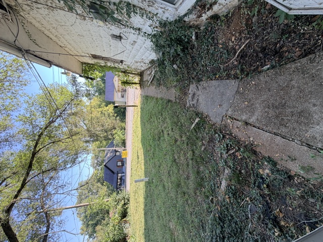 313 Station St. Leadwood MO 63653