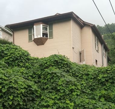 49 Cemetery Hill Rd Henlawson WV 25547