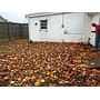 206 Cross St Oakhill OH 45656