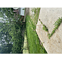 820 E Virginia Ave Peoria IL 61603