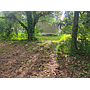 205 Tennessee Ave Ferriday LA 71334