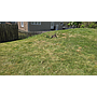 229 - 227 N 6th St Cambridge OH 43725