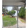 330 Dexter Street Toledo, OH 43608