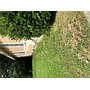 732 Thomas St Vicksburg MS 39180