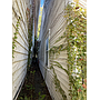 2831 Elm St Toledo OH 43608