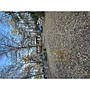 8857 State Hwy 215 S, Jenkinsville SC 29065